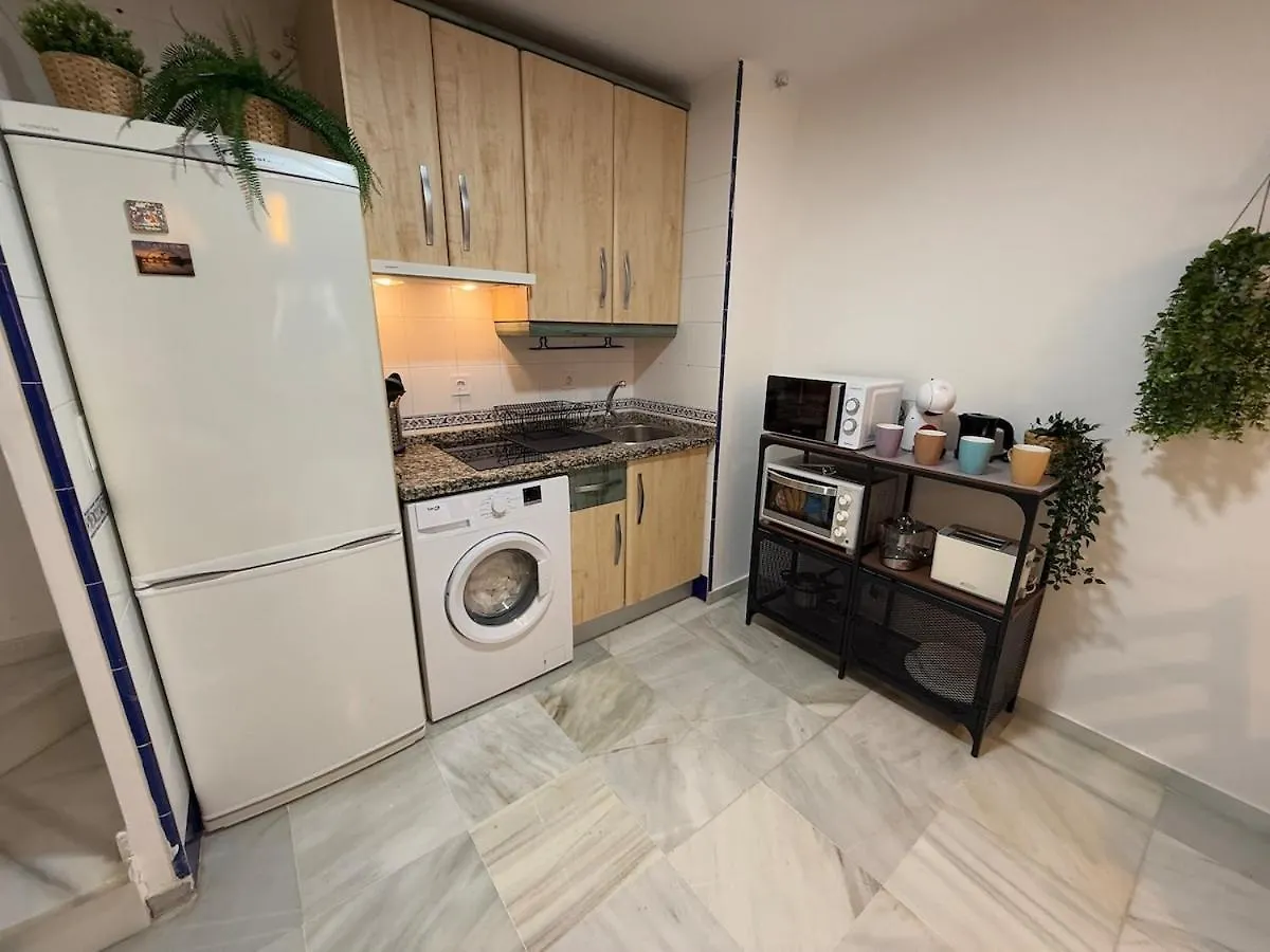 Atico Duplex En El Centro De Sevilla Apartment Seville