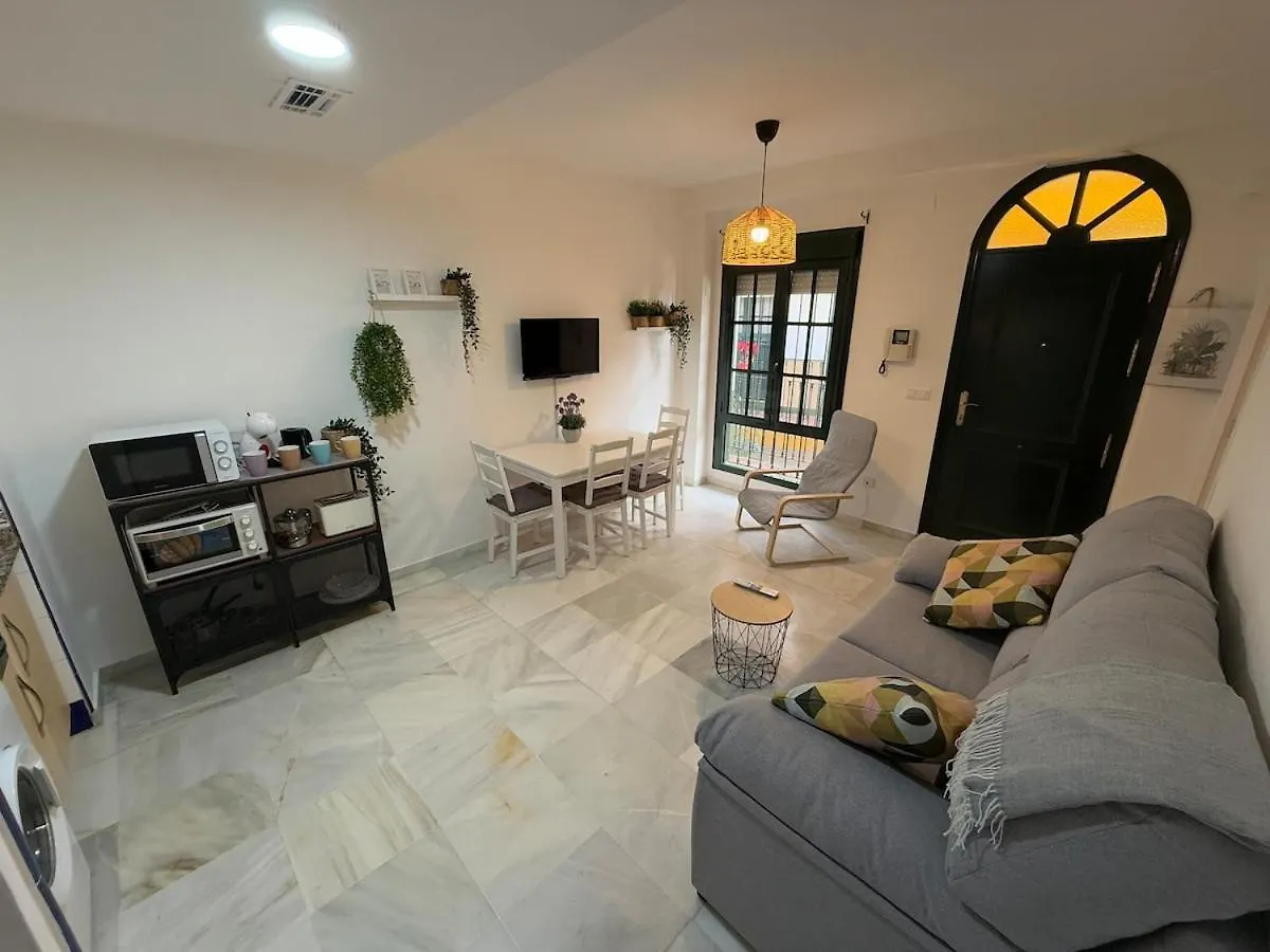 Apartment Atico Duplex En El Centro De Sevilla Spain