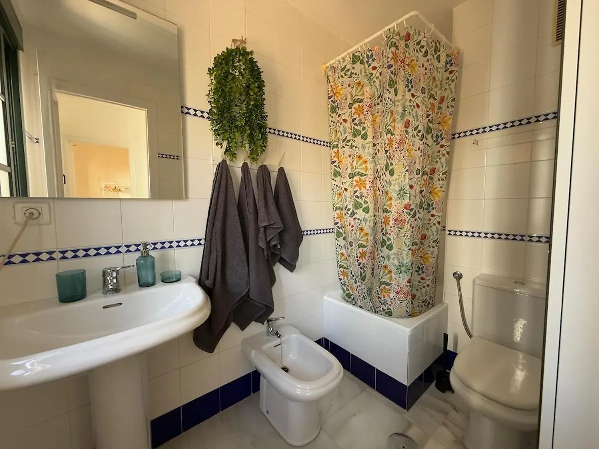 Apartment Atico Duplex En El Centro De Sevilla Spain